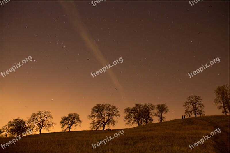 Stars Sky Night Trees Grass