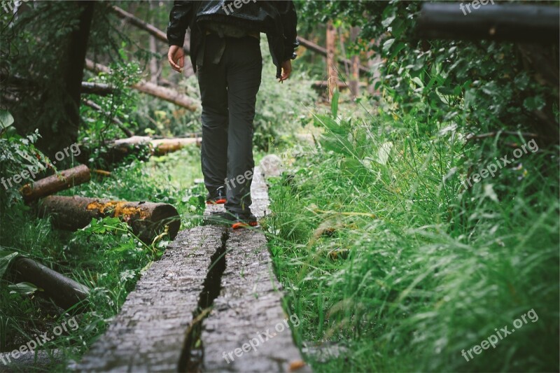 Walking Wood Planks Fence Logs