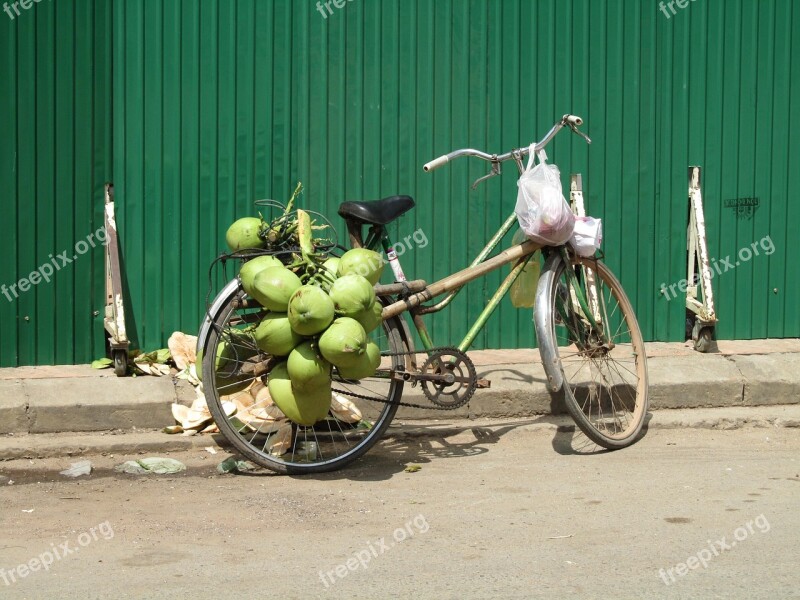 Coconut Bicycle Green Street Free Photos