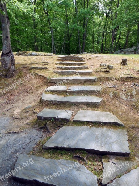 Steps Lincoln Woods Rhode Island Trees Green