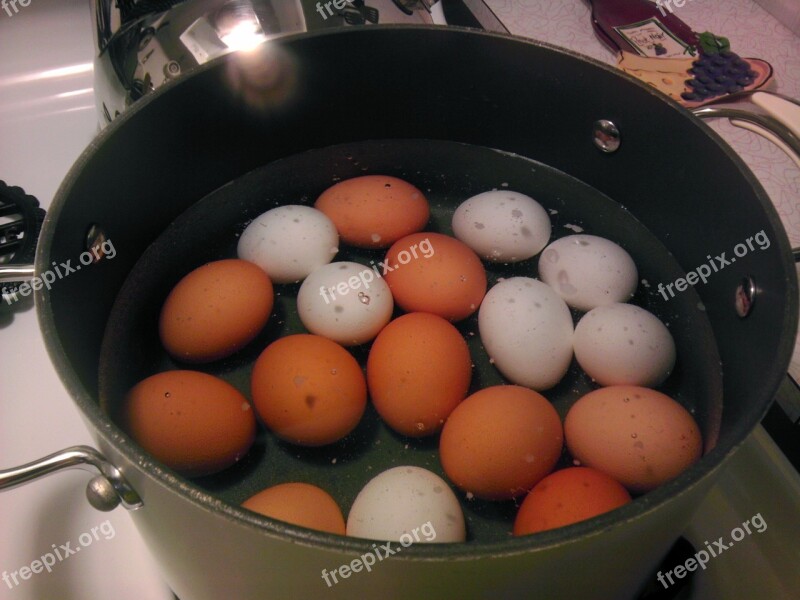 Boiling Eggs Cooking Breakfast Free Photos