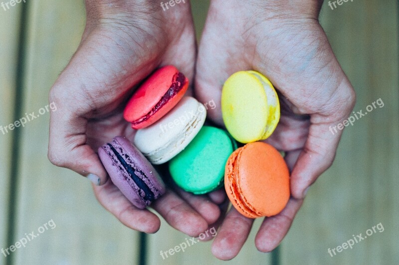 Macaroons Dessert Sweets Treats Snack