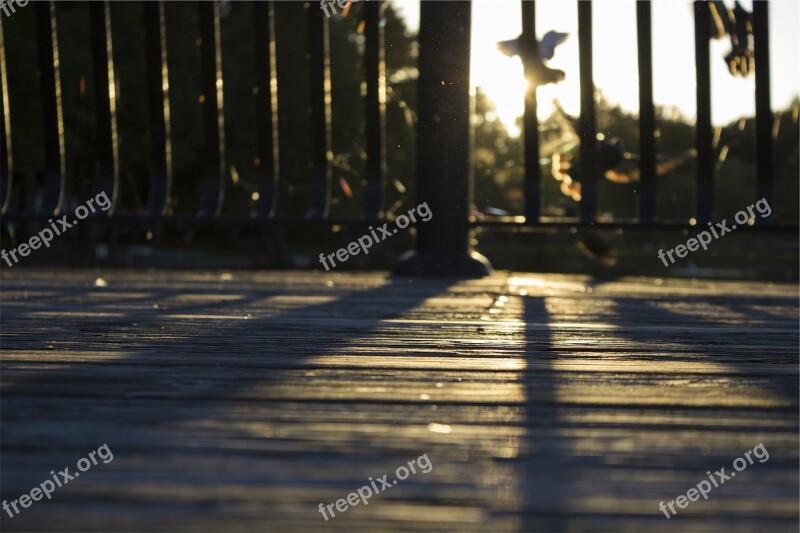 Wood Deck Railing Sunset Shadows