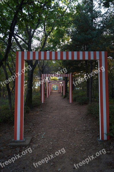 Maze In The Forest Gimpo Sculpture Park Free Photos