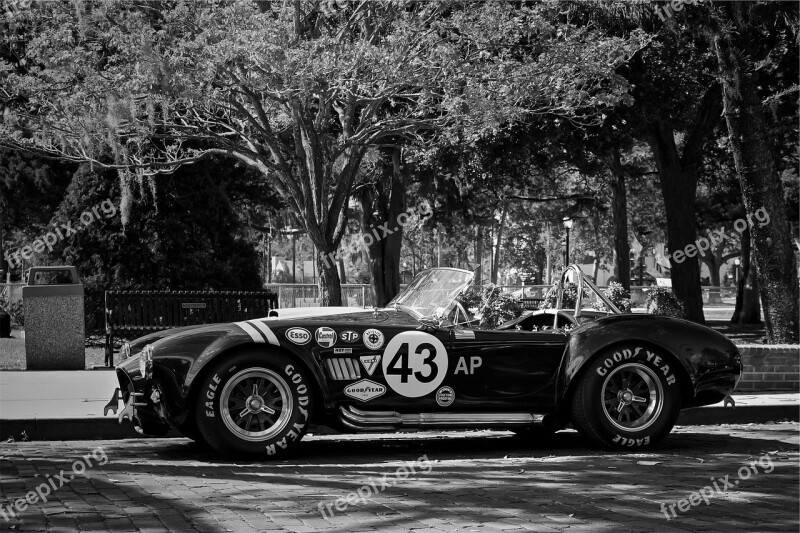 Shelby Cobra Race Car Vintage Classic