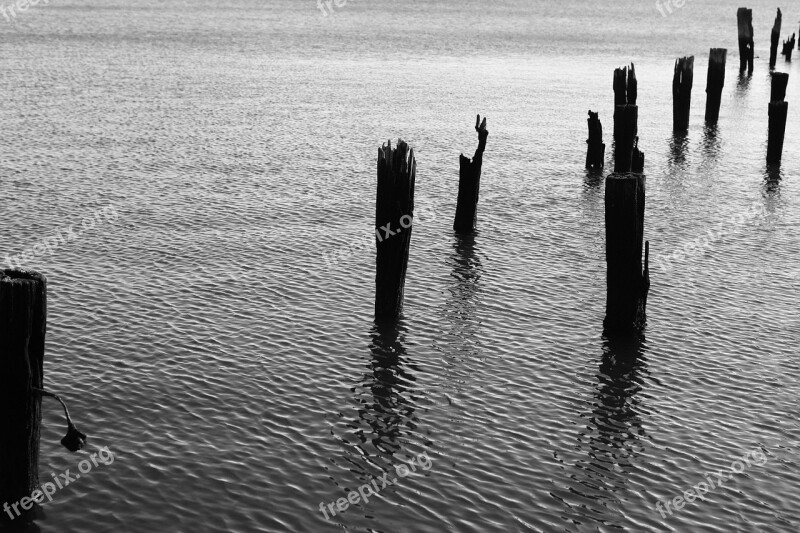 Wood Pillars Water Ripples Black And White