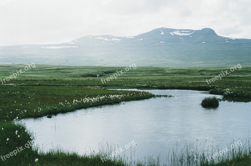 Pond Water Fields Green Grass