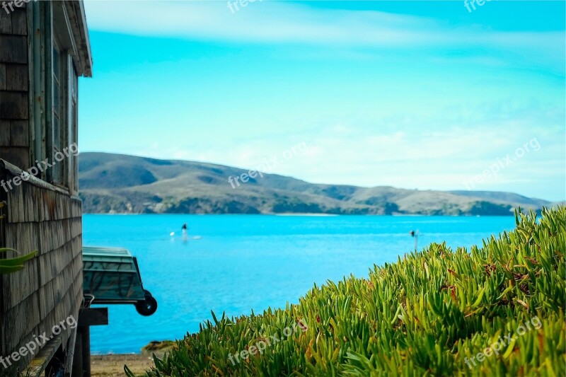 Lake Water Blue Sky Plants