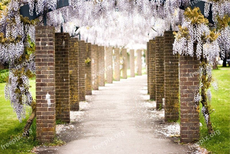 Bricks Pillars Flowers Path Pavement