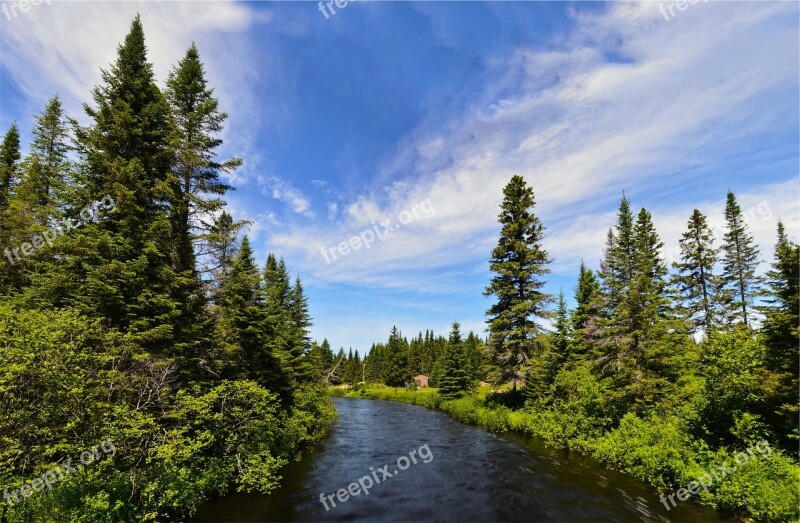 River Water Trees Nature Blue