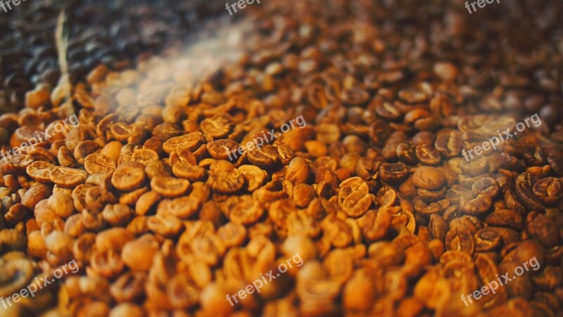 Coffee Beans Roasted Roasting Free Photos