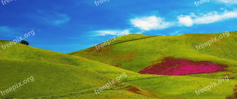 Green Grass Fields Hills Blue