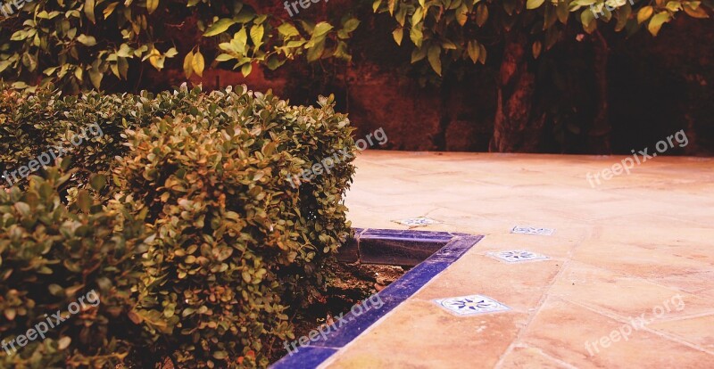 Seville Walkway Path Stones Shrubs