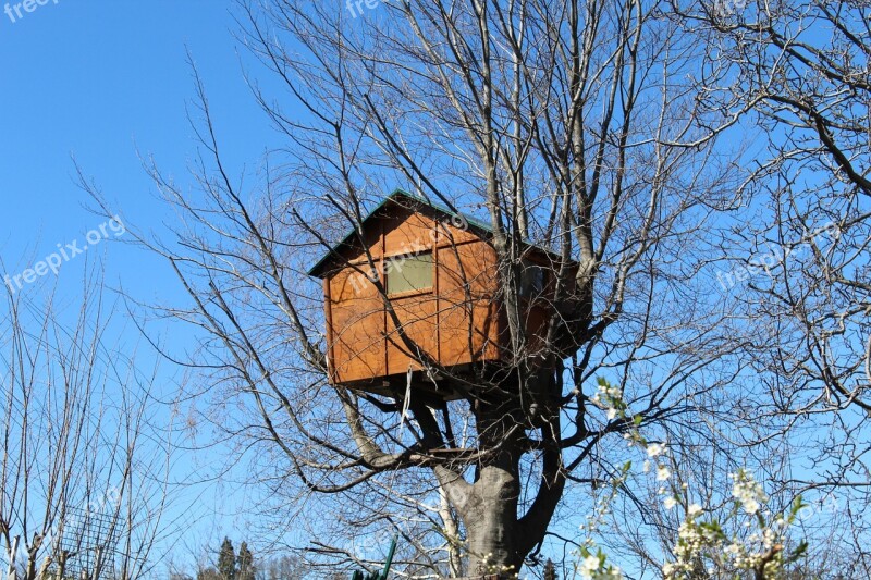 Tree House House Tree Wood Construction