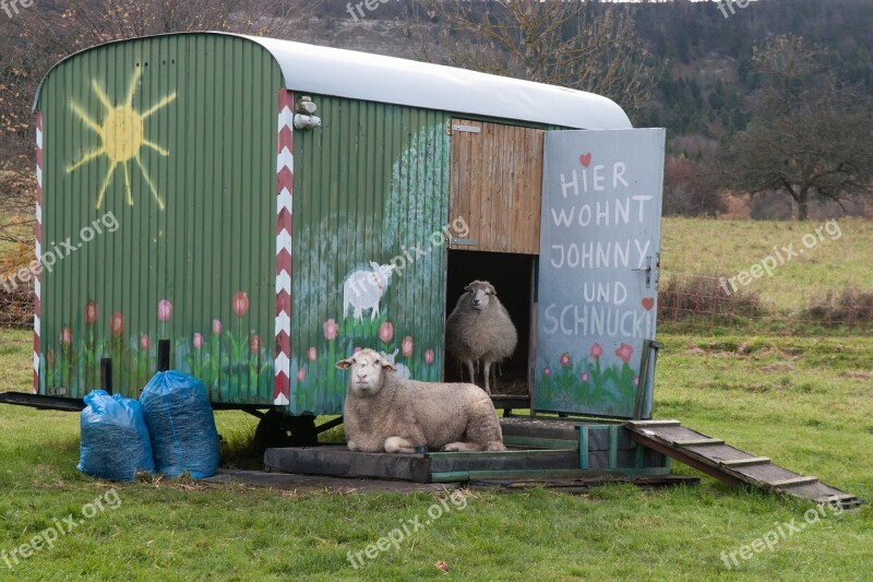 Sheep Bauwagen Live Free Photos