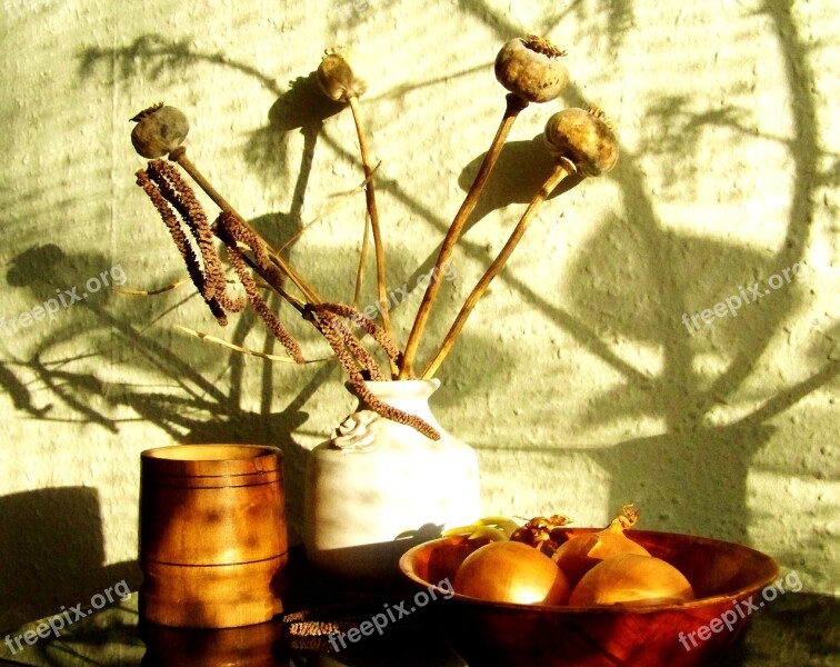 Still Life Stray Sunlight Light And Shadow Play Free Photos