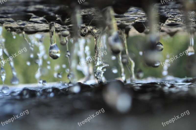 Water Drops Wet Clear Clean