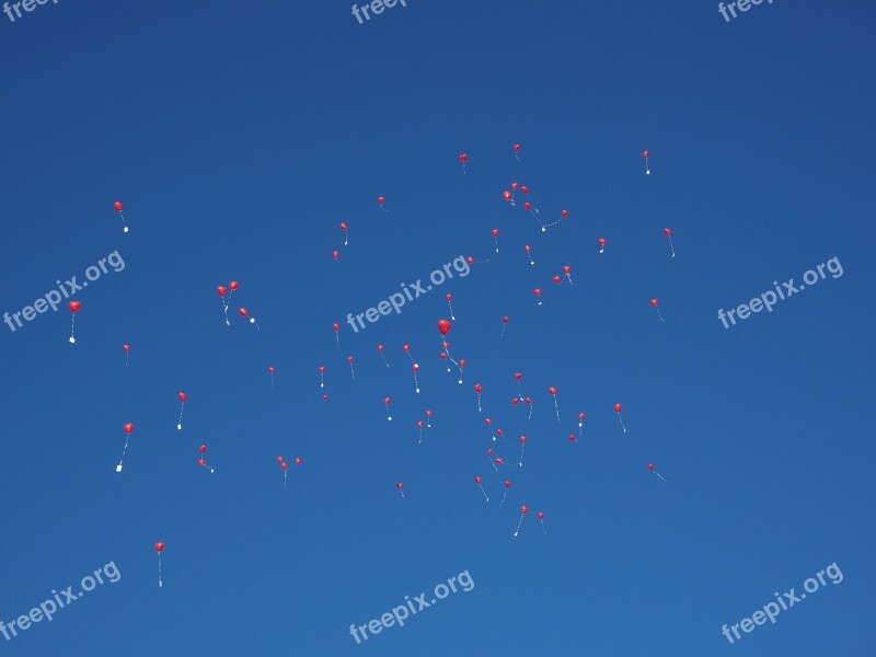 Balloons Flying Wedding Congratulations Congratulation