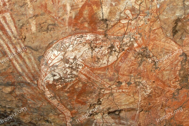 Kakadu National Park Australia Rock Painting Animal Kangaroo