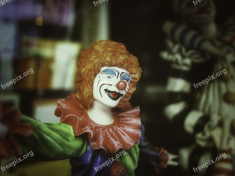 Clown Harlequin Joker Funny Fool