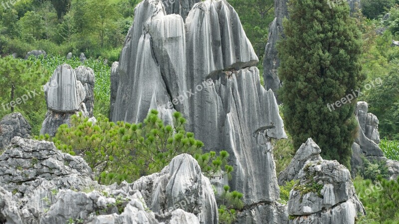 China Kunming Stone Forest Stones Free Photos