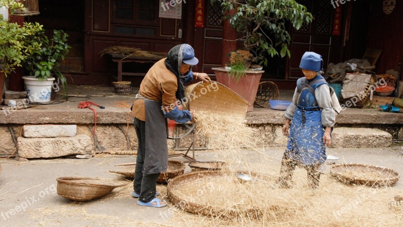 China Agriculture Harvest Hand Labor Free Photos