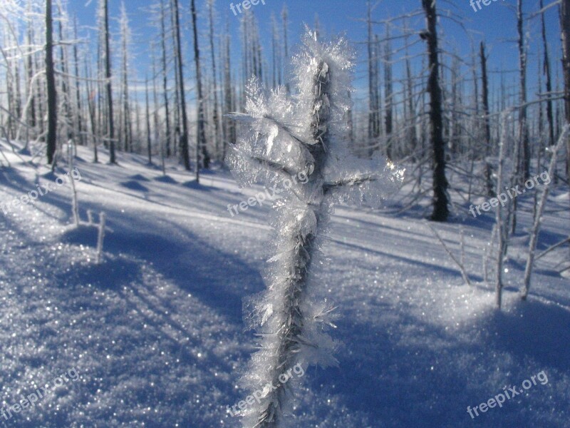 Winter Frost Nature Ice Crystals Gel