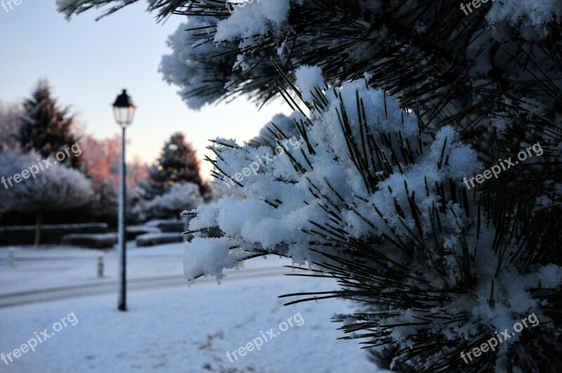 Snow Landscape Aurora Morning Reverberatory