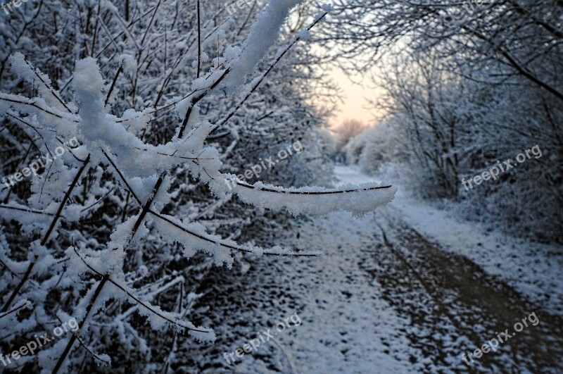 Snow Path Aurora Morning Market