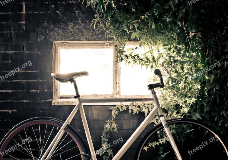 Bike Bicycle Bricks Window Vines