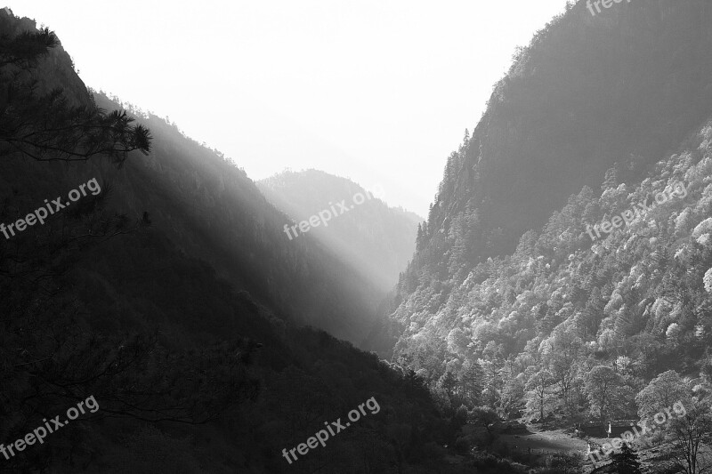 Black And White Hills Mountains Trees Nature