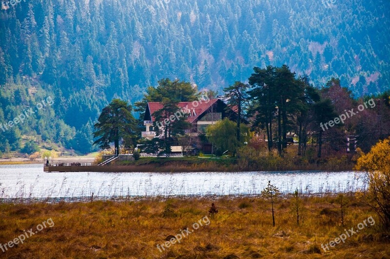 Trees Forest Nature Lake Water