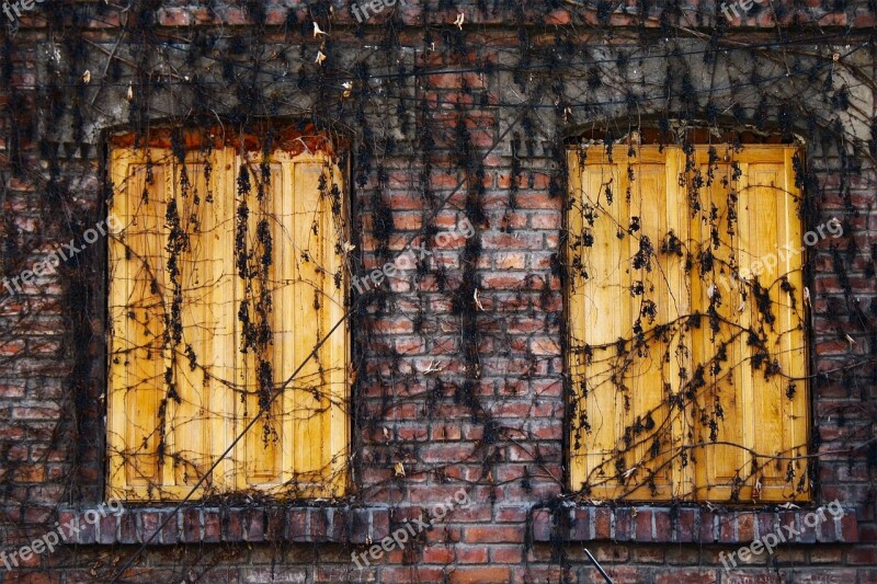 Bricks Vines Wood Shutters Free Photos