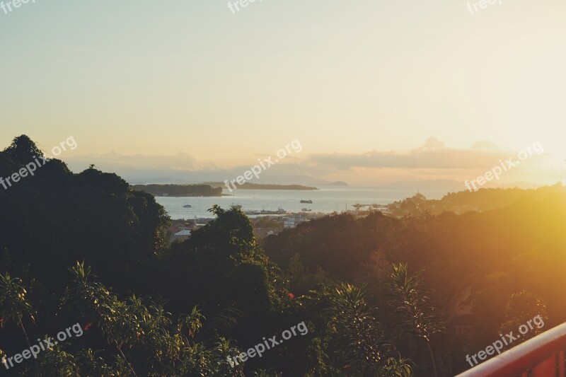 Sunset Landscape Trees Ocean Sea