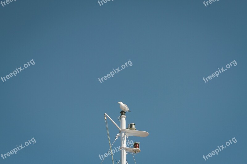 Mast Bird Blue Sky Free Photos