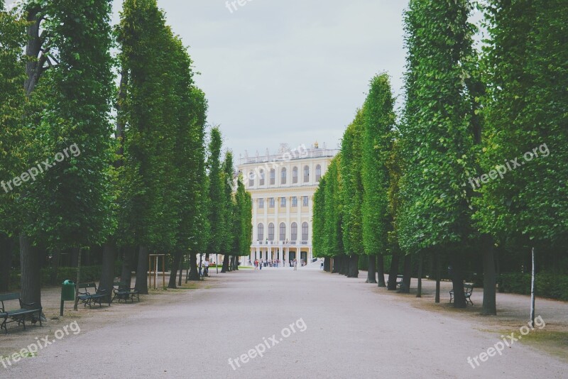 Path Pavement Benches Trees Shrubs