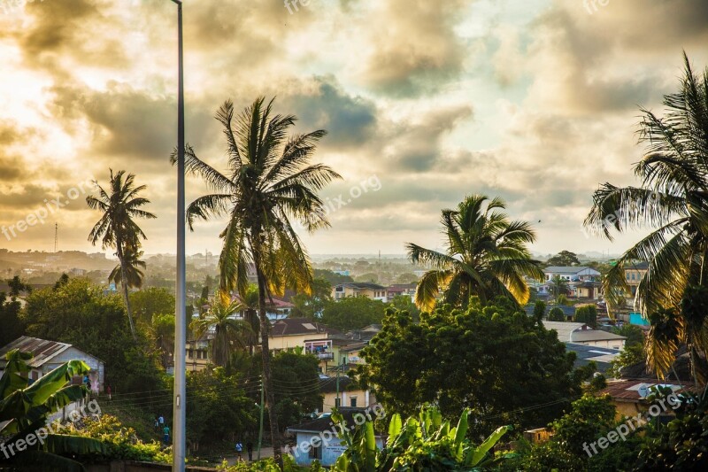 Palm Trees Tropical Houses Sky Clouds