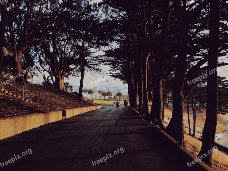 Road Pavement Trees People Walking