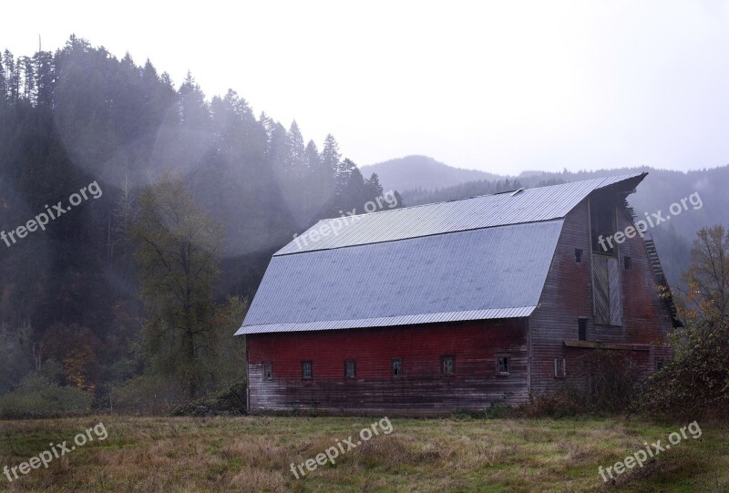 Barn Shed Wood Siding Panels