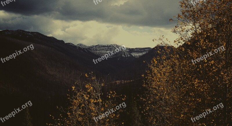 Trees Branches Leaves Mountains Dark