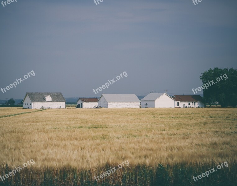 Farm Crops Fields Agriculture Rural