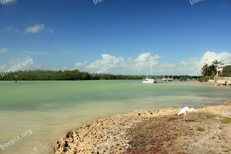 Beach Shoreline Coast Water Vacation