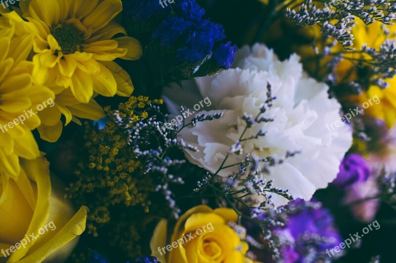 Flowers Bouquet Colors Macro Closeup