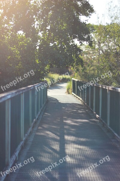 Perspective Summer Bridge Nature Landscape