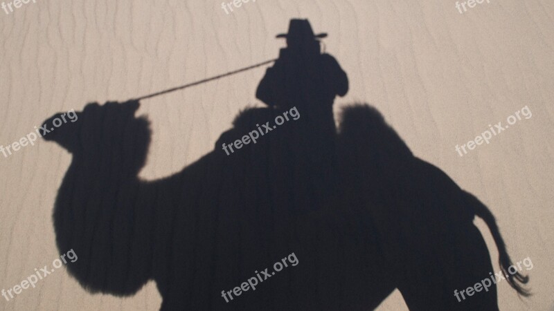 Self Portrait Camel Silhouette Free Photos