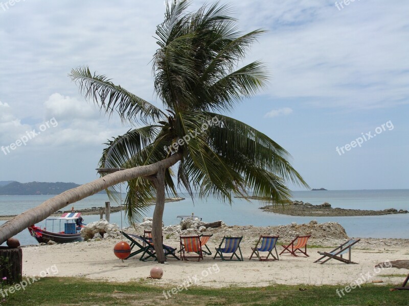 Thailand Koh Samui Island Beach Palm Trees