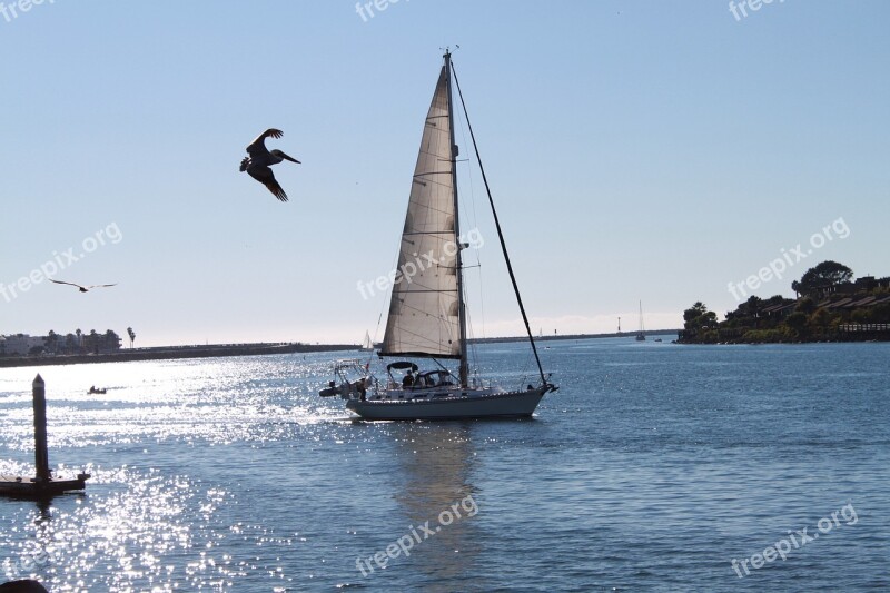 Marina Boat Sailing Nautical Sky