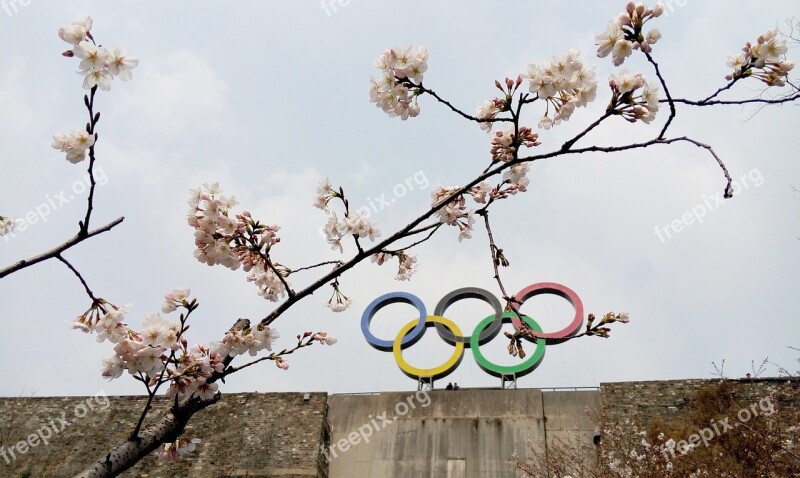 Olympic Rings Spring Cherry Blossom Free Photos