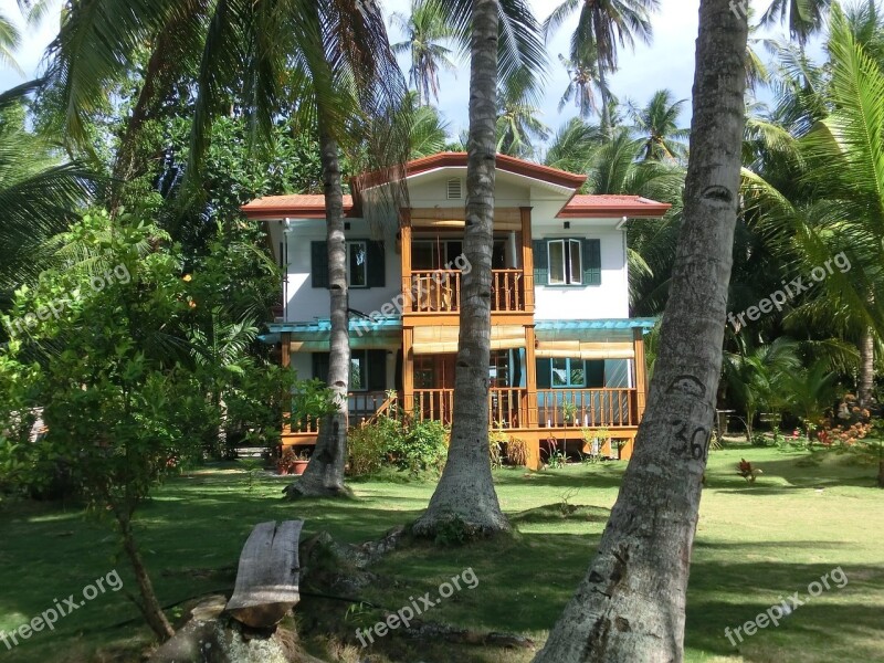 House Philippines Palm Trees Free Photos