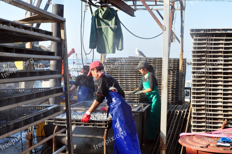 Travel Baengnyeongdo Wharf Workshop Making Sauce